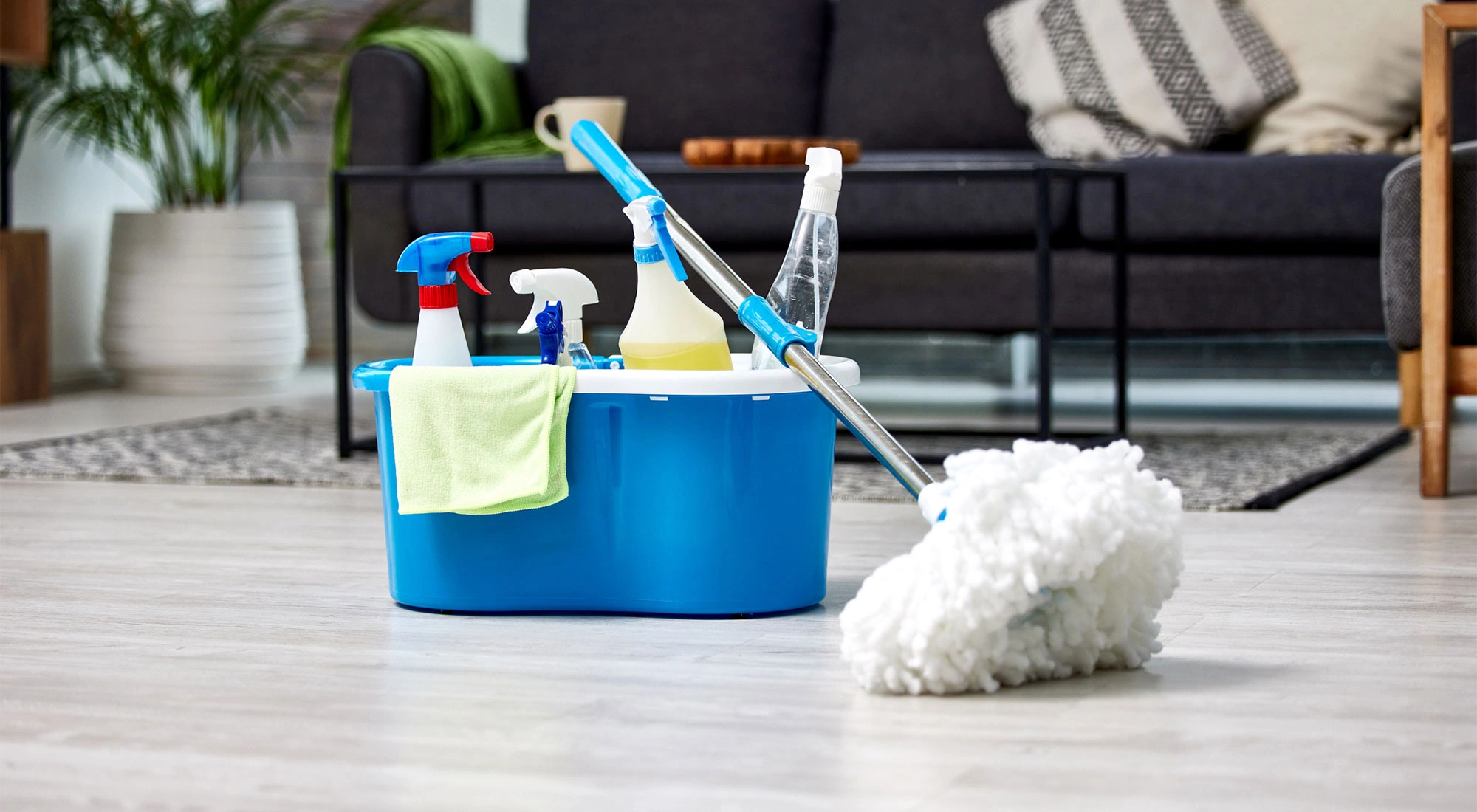 Cleaning Services